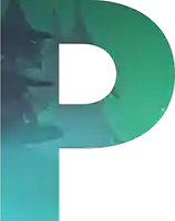 Pepe letter P